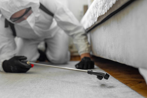 Professional Cockroach Control technician working in North Utica, IL