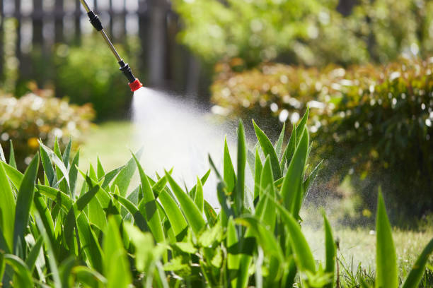 24/7 Emergency Cockroach Control experts in North Utica, IL